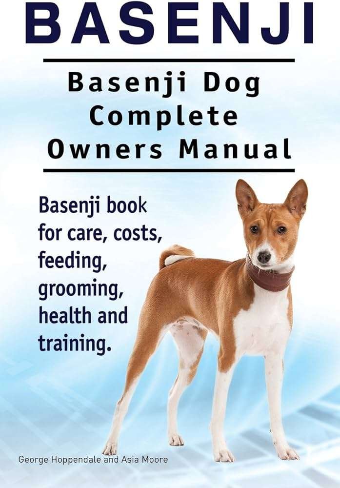Basenji History, Temperament And Behavior, Training, Feeding