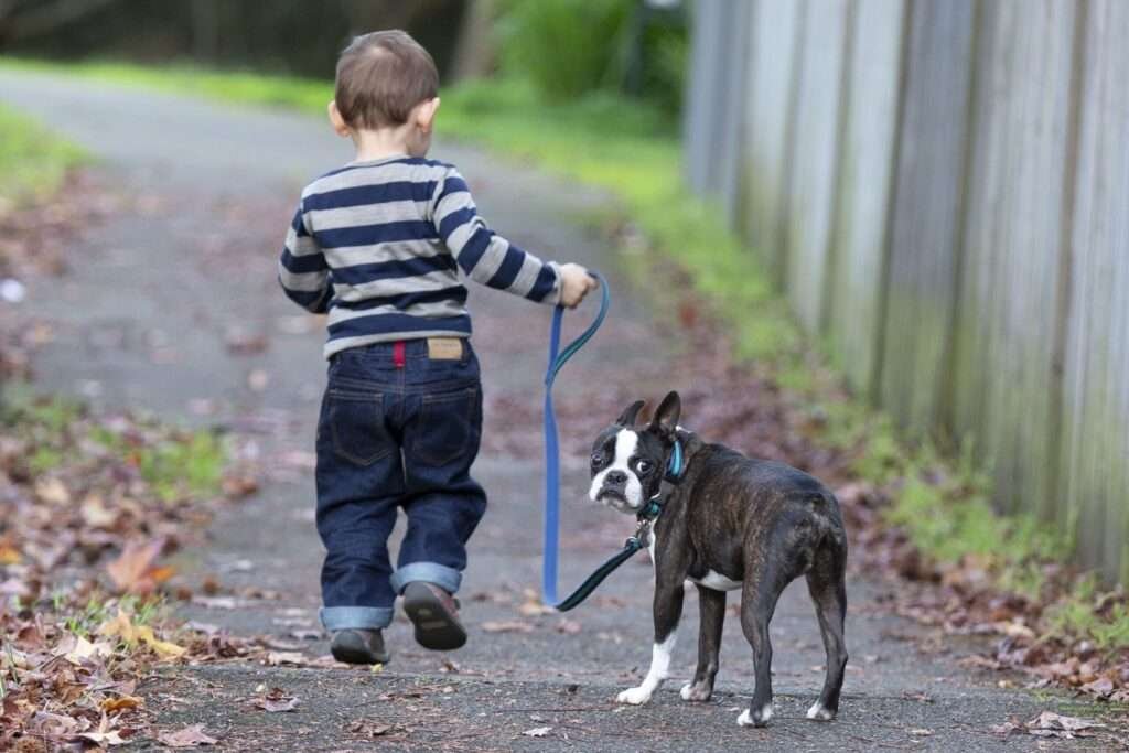 Best Small Dog Breeds for Small Child