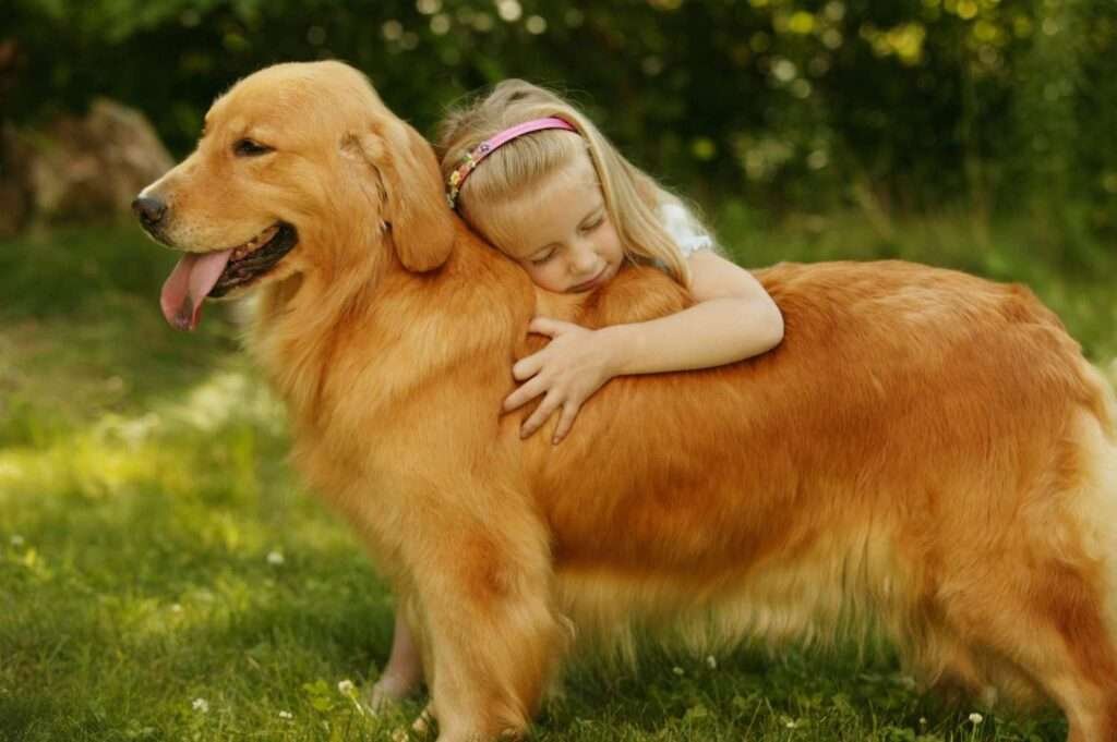 Best Small Dog Breeds for Teenage Girl