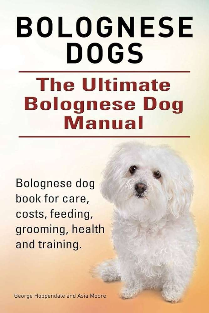 Bolognese History, Temperament And Behavior, Training, Feeding