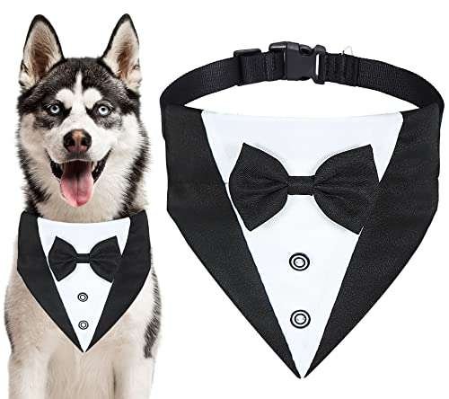 Bowtie Small Dog Ball Gown