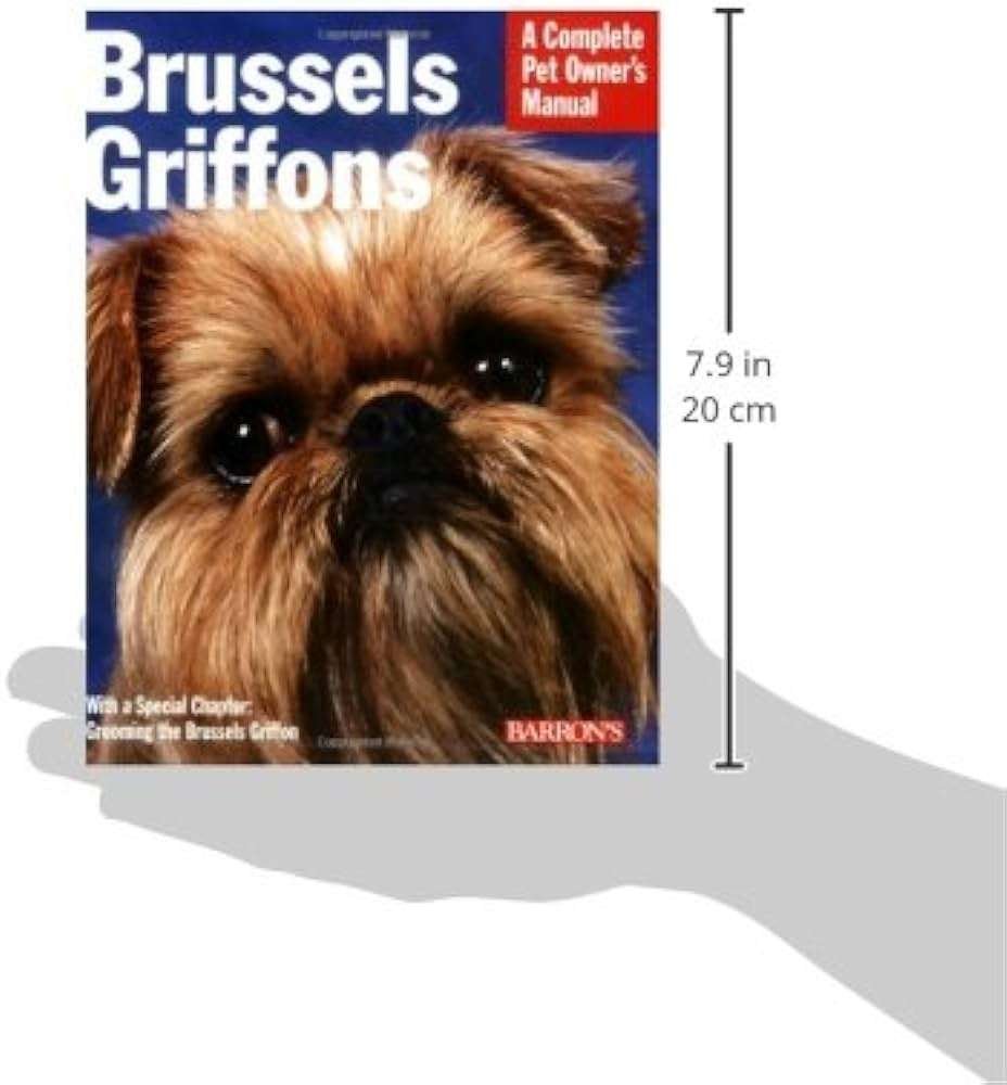 Brussels Griffon History, Temperament And Behavior, Training, Feeding