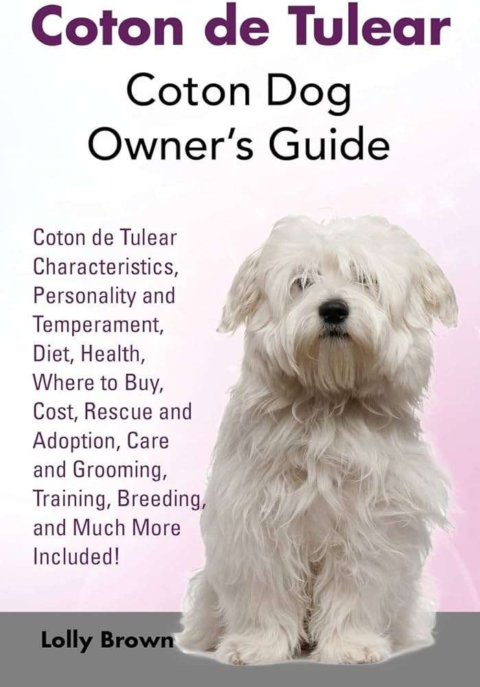 Coton De Tulear History, Temperament And Behavior, Training, Feeding