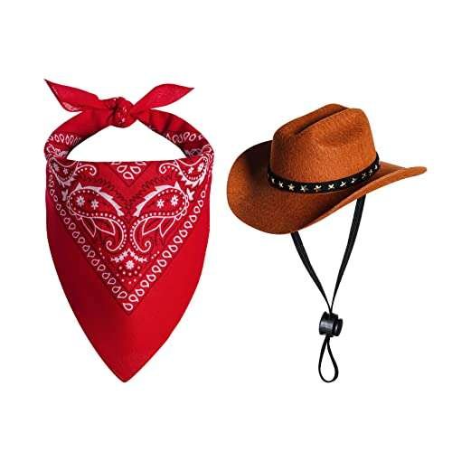 Cowboy Hat for Small Dog