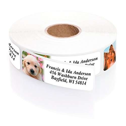 Designer Labels for Petite Pups