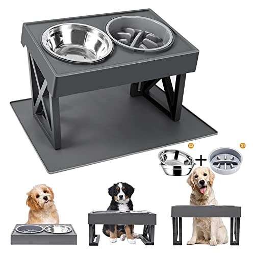 Dog Bowls With Stand for Small Dogs