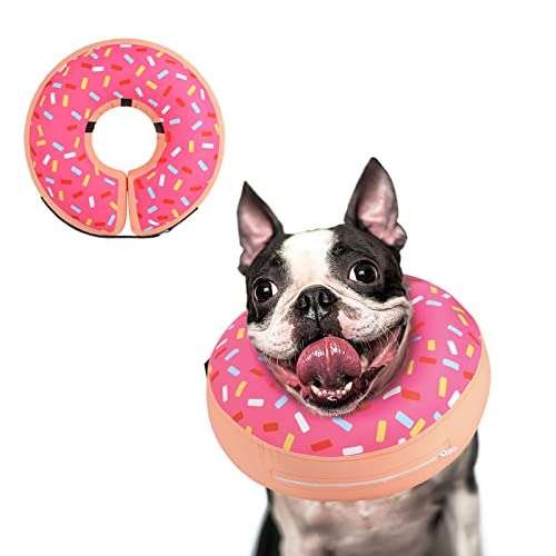 Dog Cones for Small Dogs