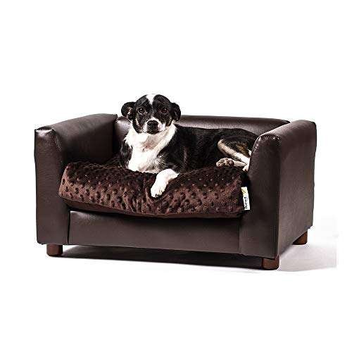 Dog Couches for Small Dogs