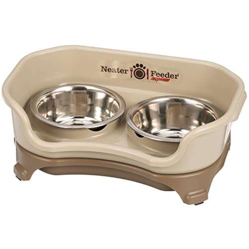 Dog Feeders for Small Dogs