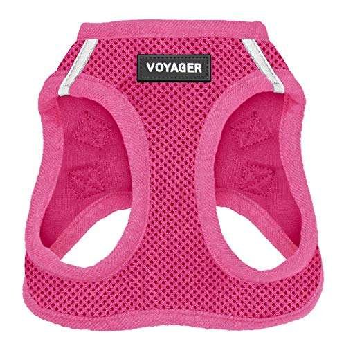 Dog Harnesses for Small Dogs