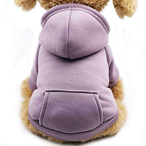 Dog Hoodies for Small Dogs