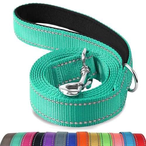 Dog Leashes for Small Dogs
