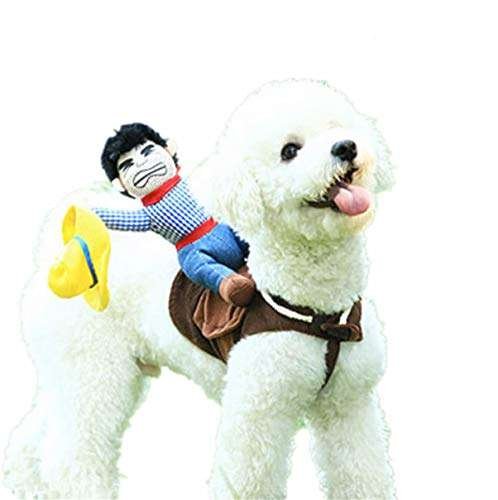 Halloween Small Dog Costume
