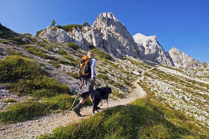 Hiking Guard Dog Breeds