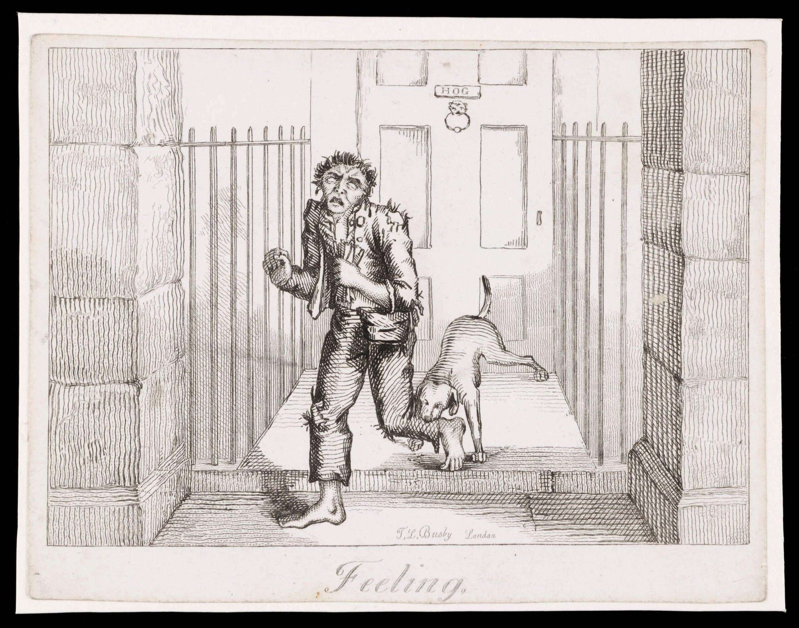 Human Protection Guard Dog Breeds  