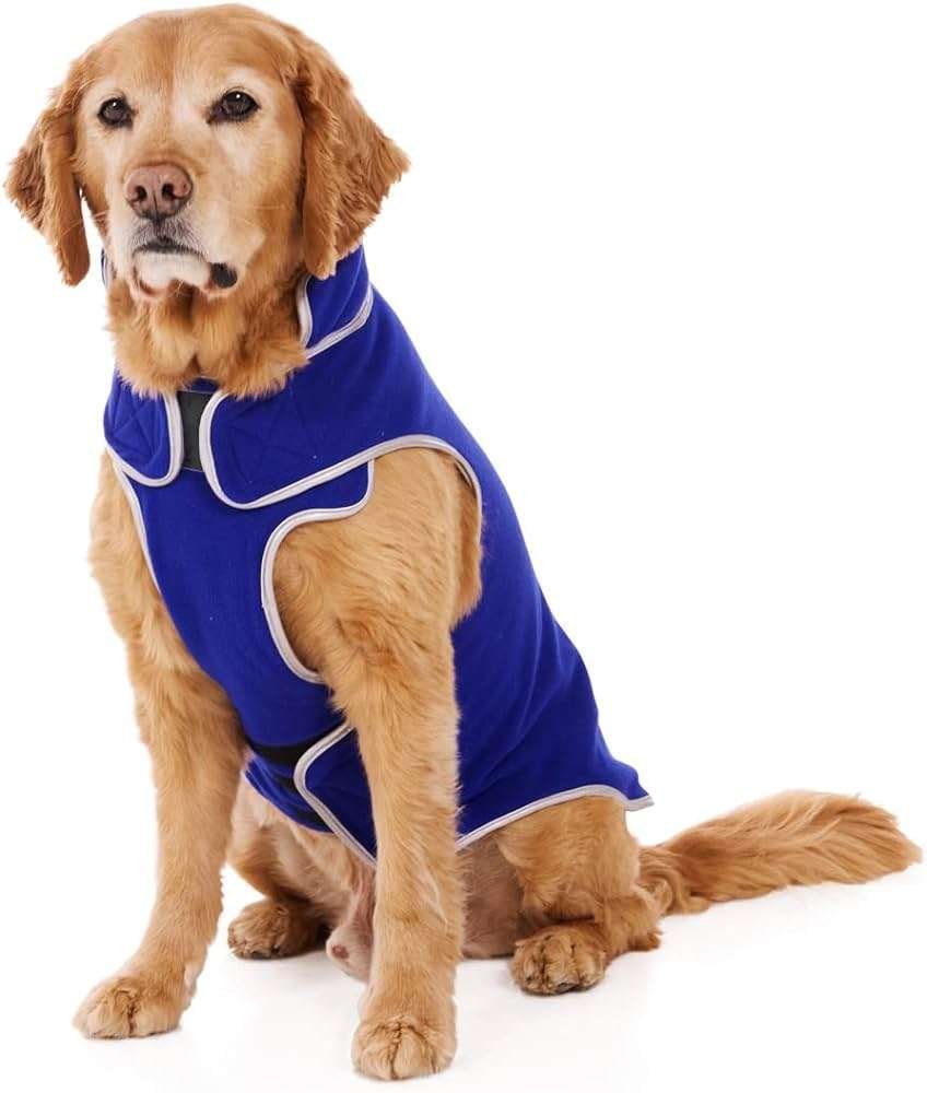 Cold Weather Guard Dog Breeds  
