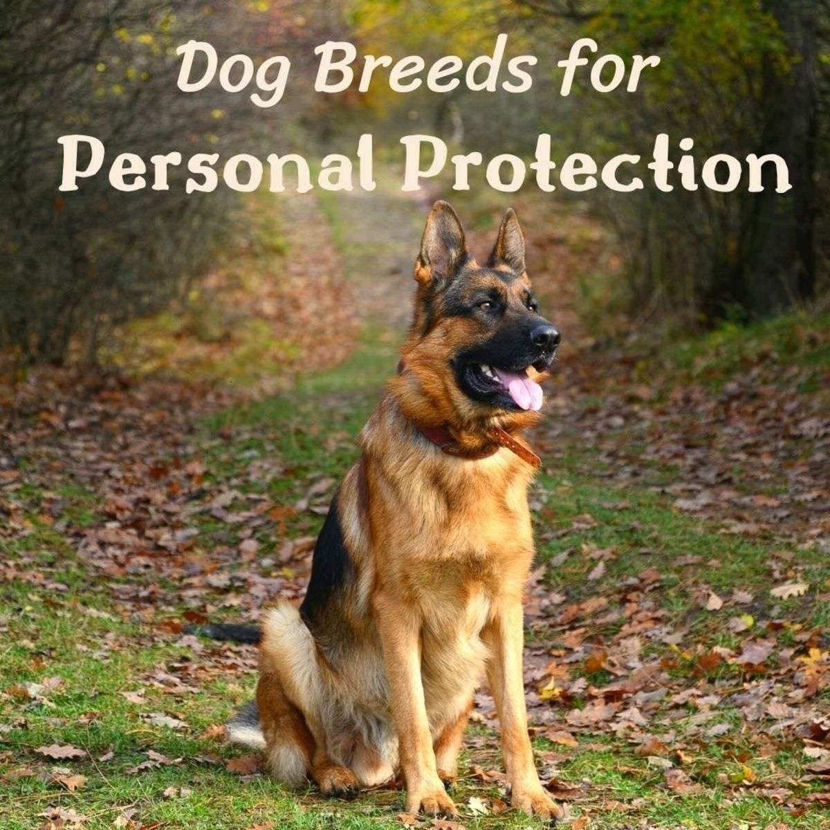 Personal Guard Dog Breeds  