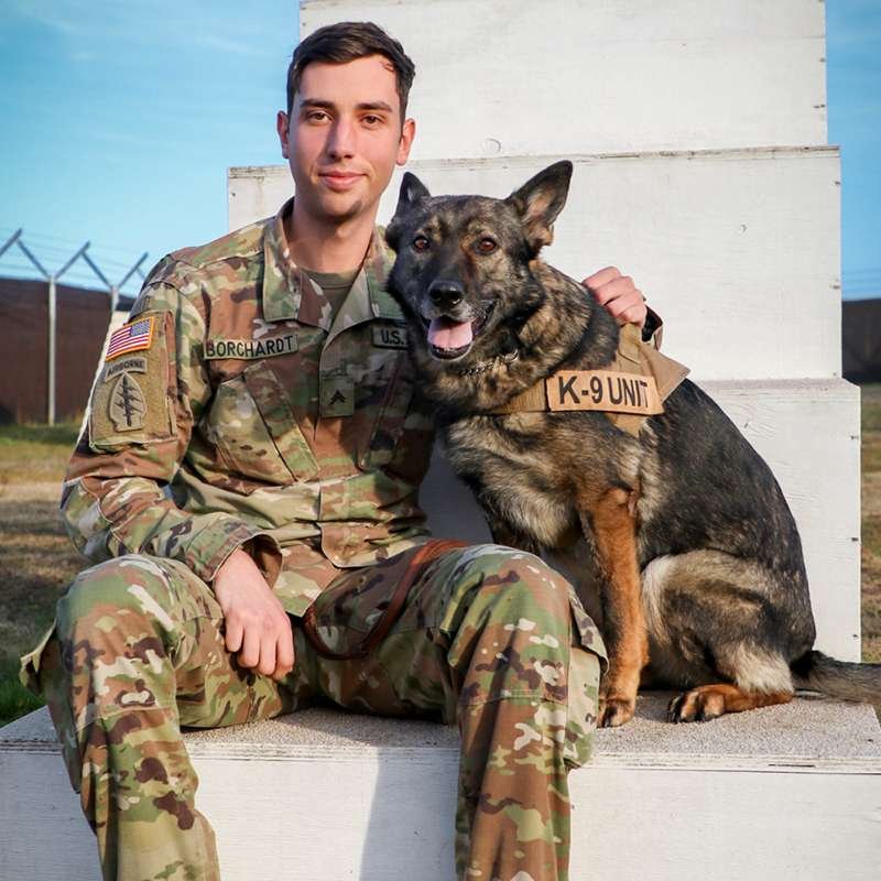 Military Guard Dog Breeds  