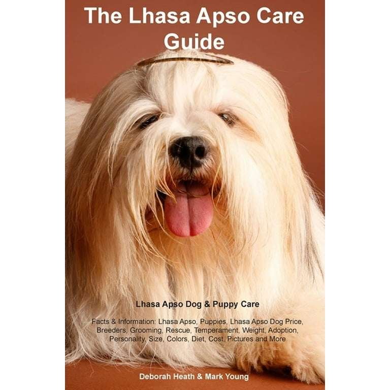 Lhasa Apso Info, Temperament, Life Expectancy, Size, Puppies, Pictures