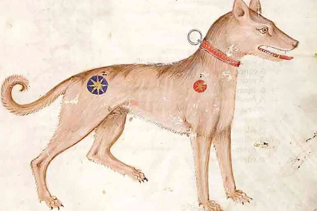 Medieval Guard Dog Breeds
