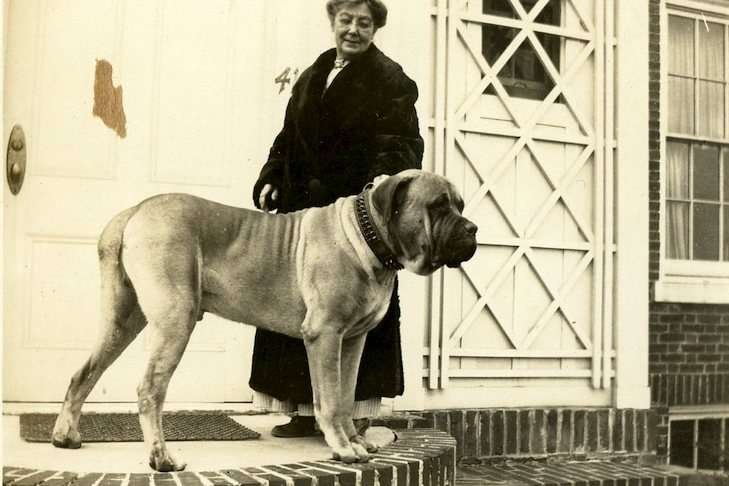 Oldest Guard Dog Breeds