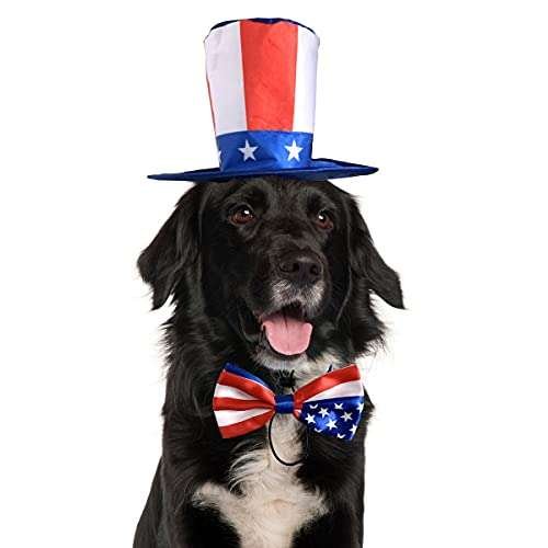 Patriotic Small Dog Outfit for July 4Th