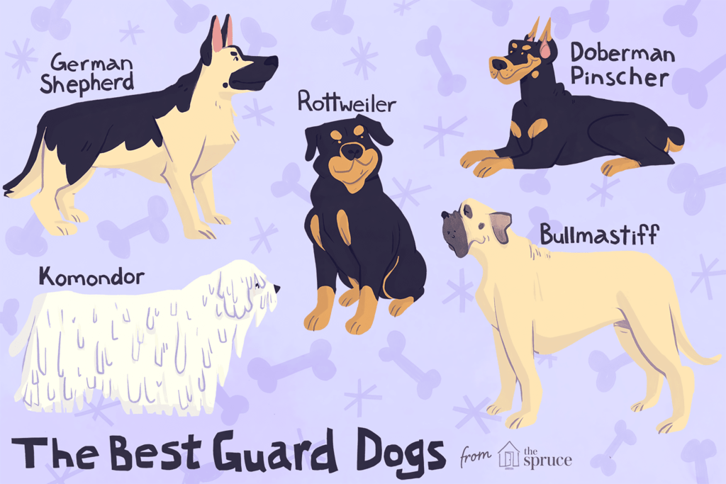 Personal Guard Dog Breeds