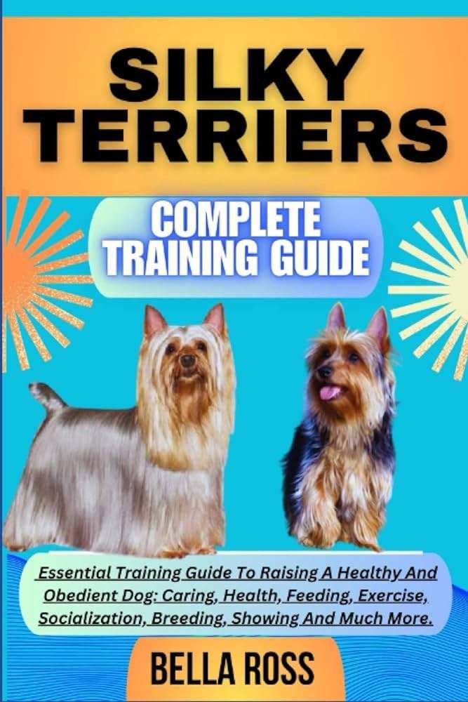 Silky Terrier History, Temperament And Behavior, Training, Feeding