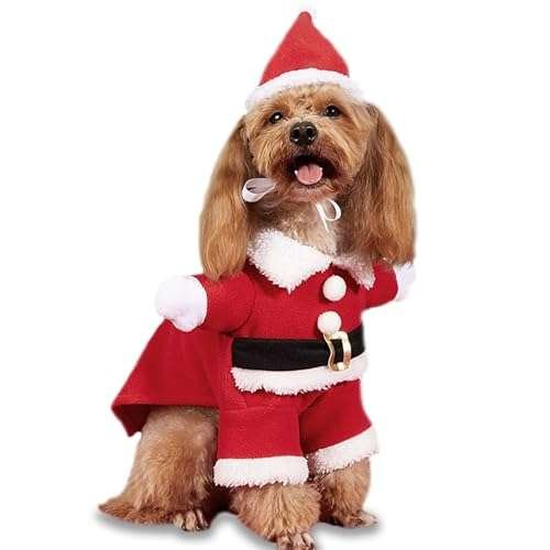 Small Dog Santa Claus Suit
