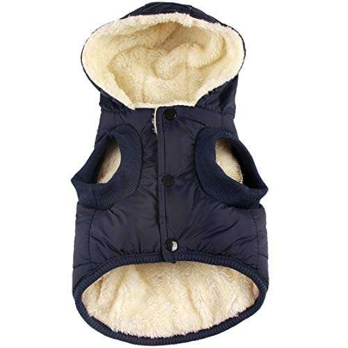 Small Dog Winter Jacket