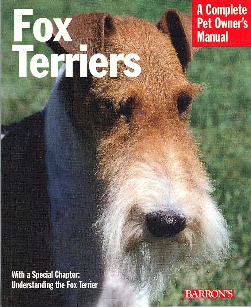 Smooth Fox Terrier History, Temperament, Care, Training, Feeding