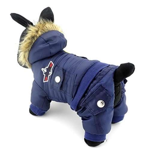 Snow Suits for Small Dogs