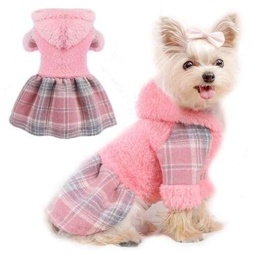 Springtime Small Dog Fashion
