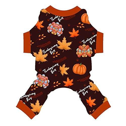 Thanksgiving Small Dog Outfit