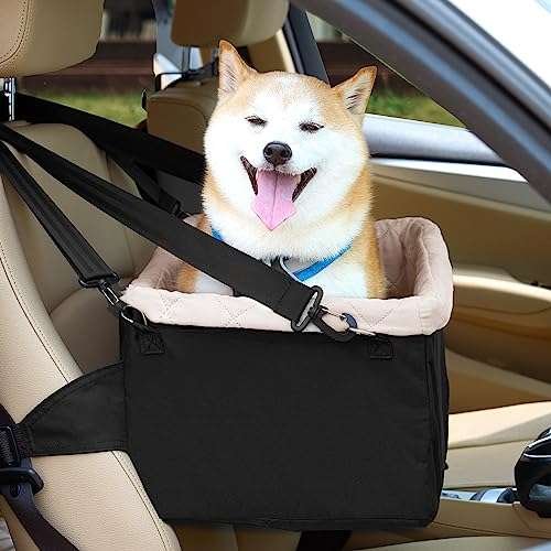 Things for Small Dogs