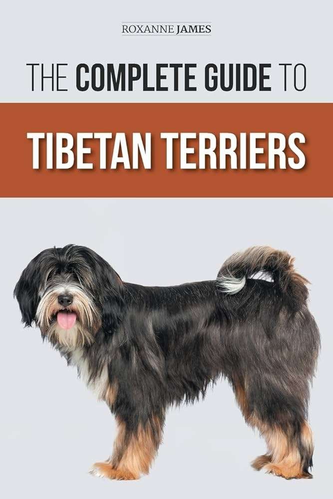 Tibetan Terrier History, Temperament, Care, Training, Feeding