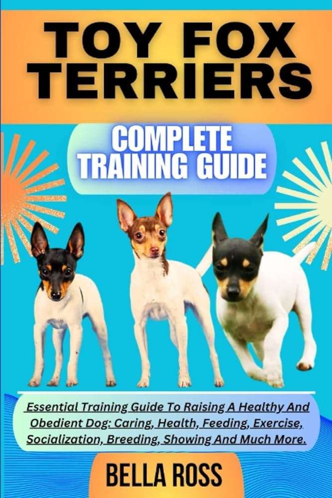 Toy Fox Terrier History, Temperament, Care, Training, Feeding