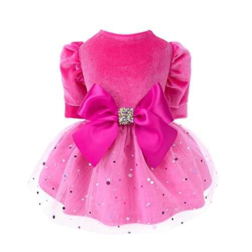 Trendsetting Small Dog Fashion Dress
