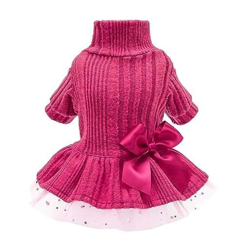 Trendy Small Dog Dresses