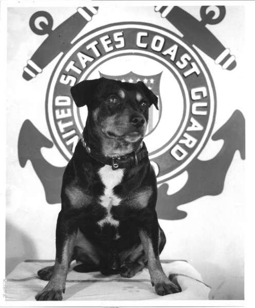 United States Guard Dog Breeds