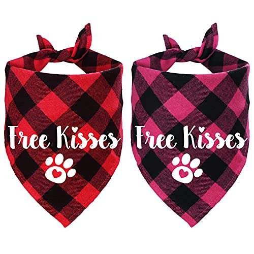 Valentine'S Day Dog Attire