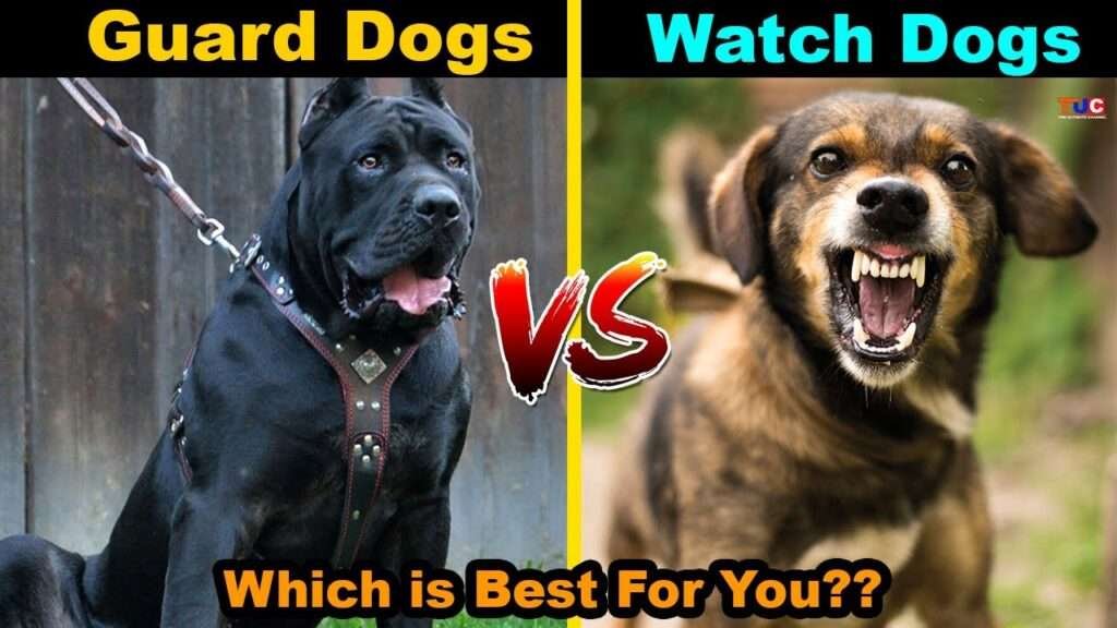 Watchdog Vs. Guard Dog Breeds
