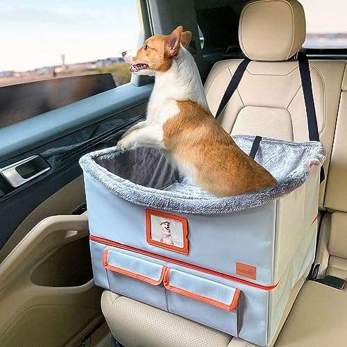 Window Seat for Small Dogs