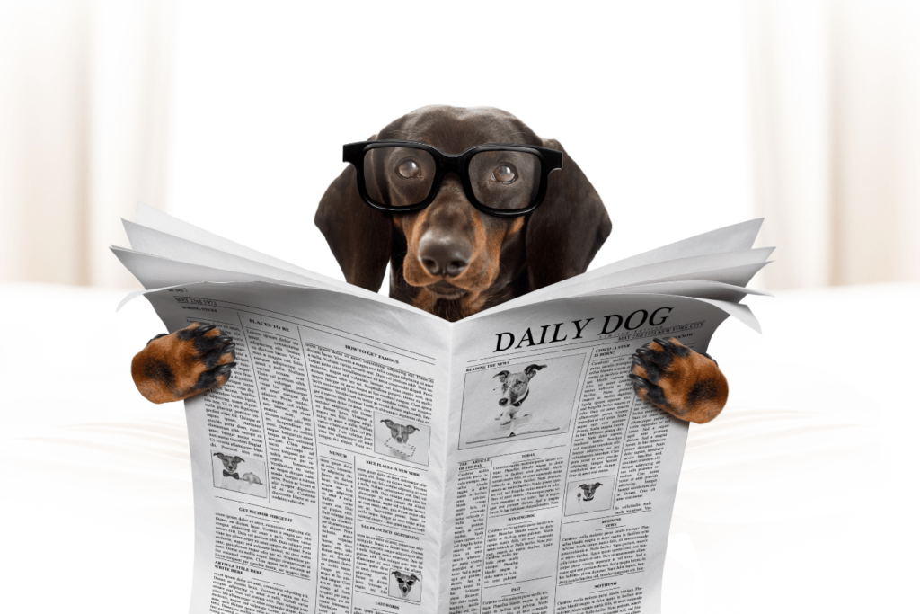 Dog Star Daily - The Ultimate Guide to Training and Caring
